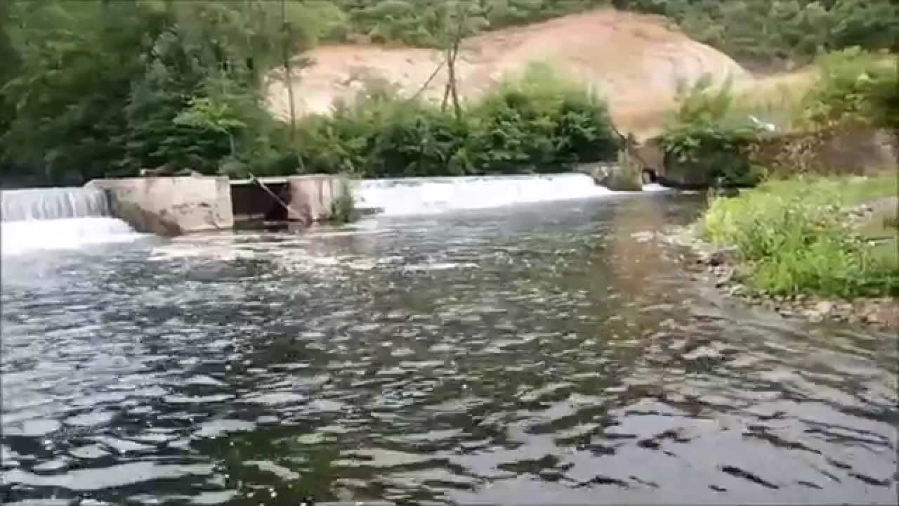 pilou34 pr&eacute;sente mon poisson record 2015