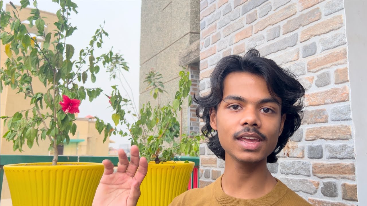 Ayachi Ke Plant Collection 🌺 - Rishav Vlogs