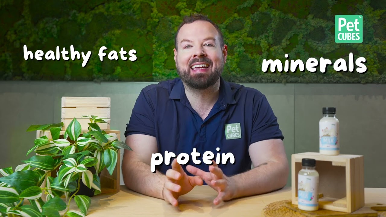 PhD Nutritionist Explains the Best Milk for Dogs & Cats – Benefits & Differences!