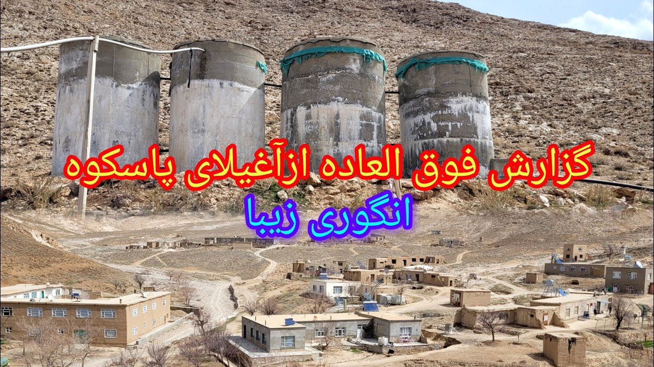 تازترین گزارش ازآغیلای پاسکوه انگوری جاغپری