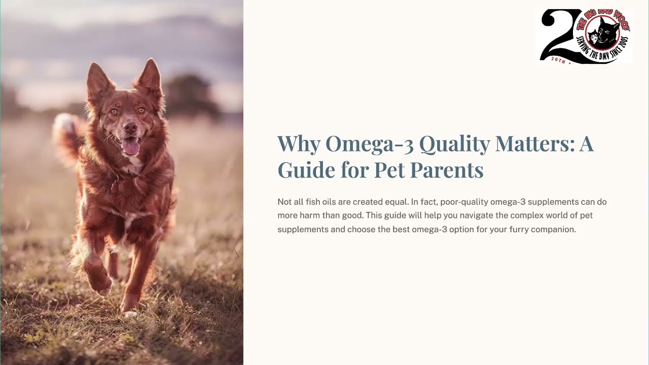 How to Choose a Safe Omega-3 Fish Oil for Your Pet (TOTOX, Testing, and Storage Tips)