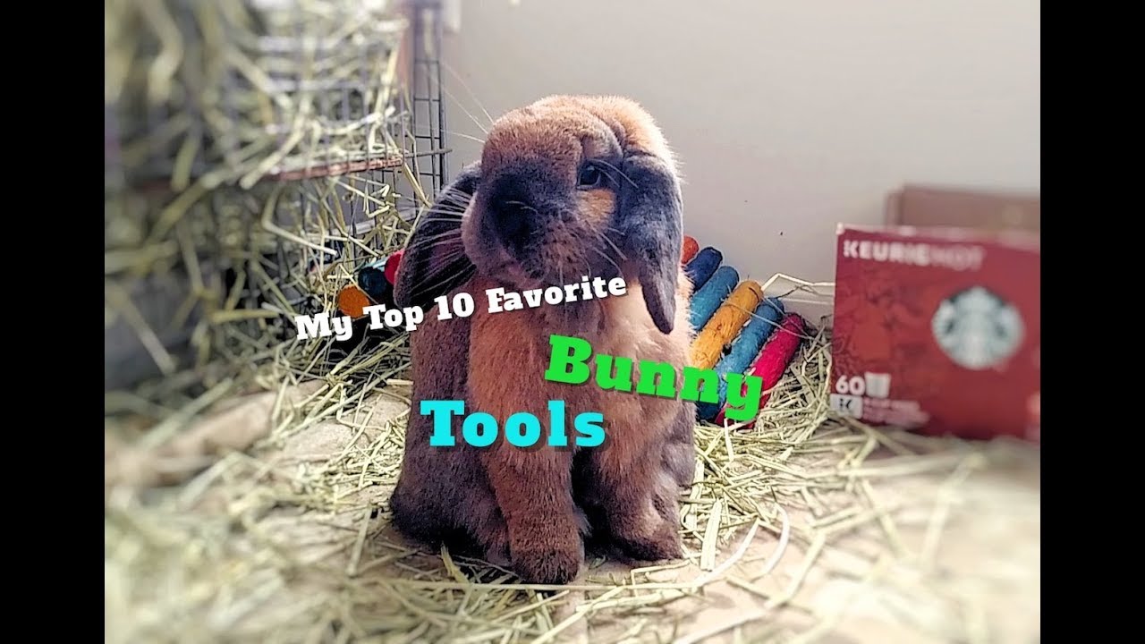 My Top 10 Favorite Bunny Tools I 2019