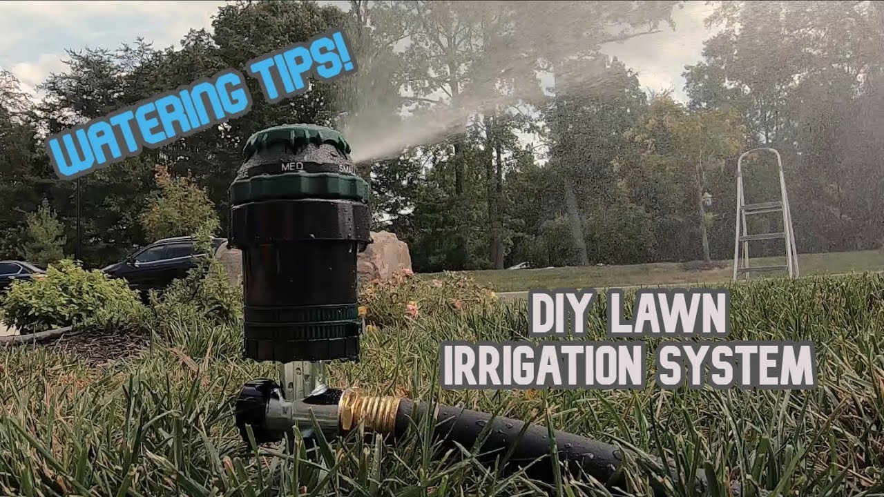 Installing a DIY Above Ground Irrigation System | Combating Heat Stress