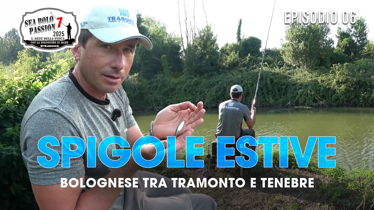 Pesca Bolognese in Estate: Cefali e Spigole in Canale | Sea Bolo Passion E6S7