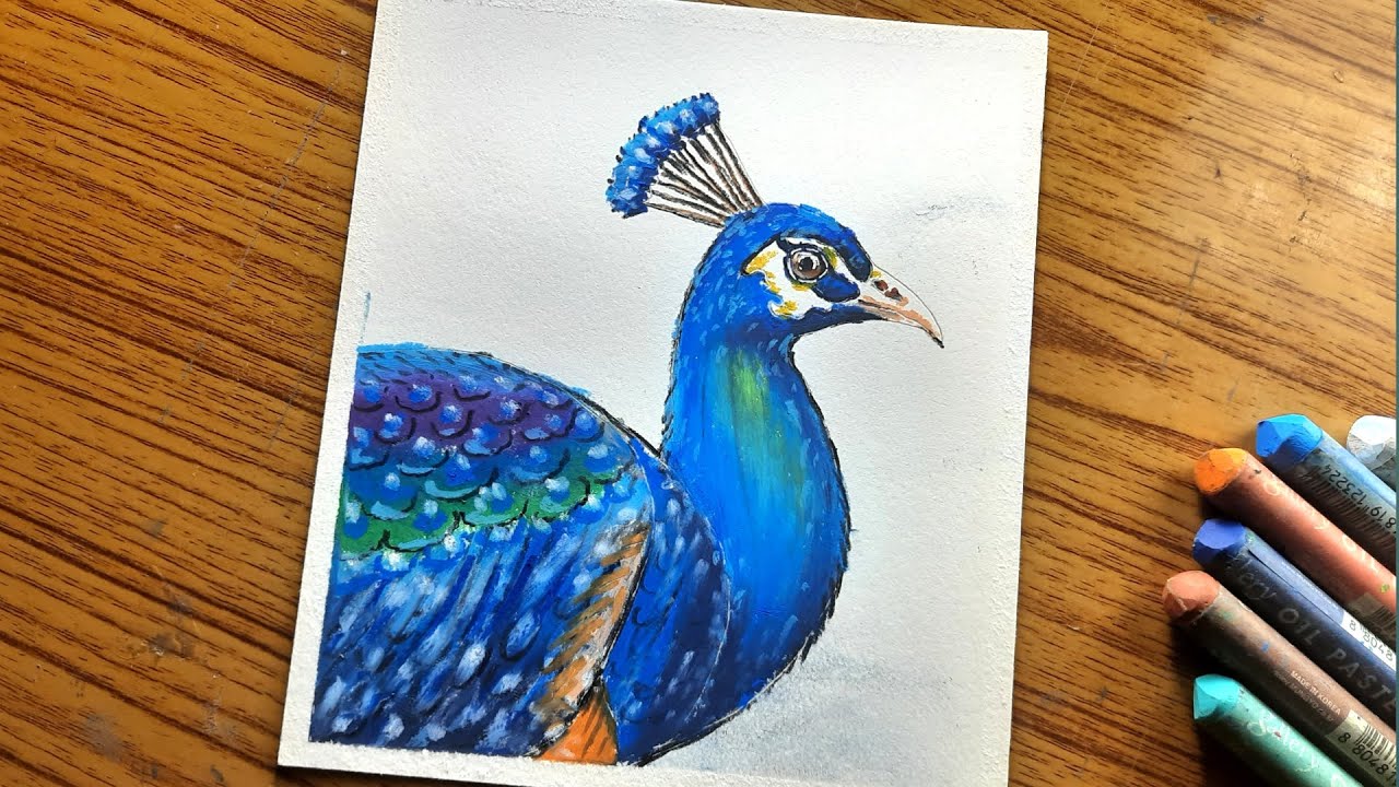 Peacock drawing with oil pastels #shorts