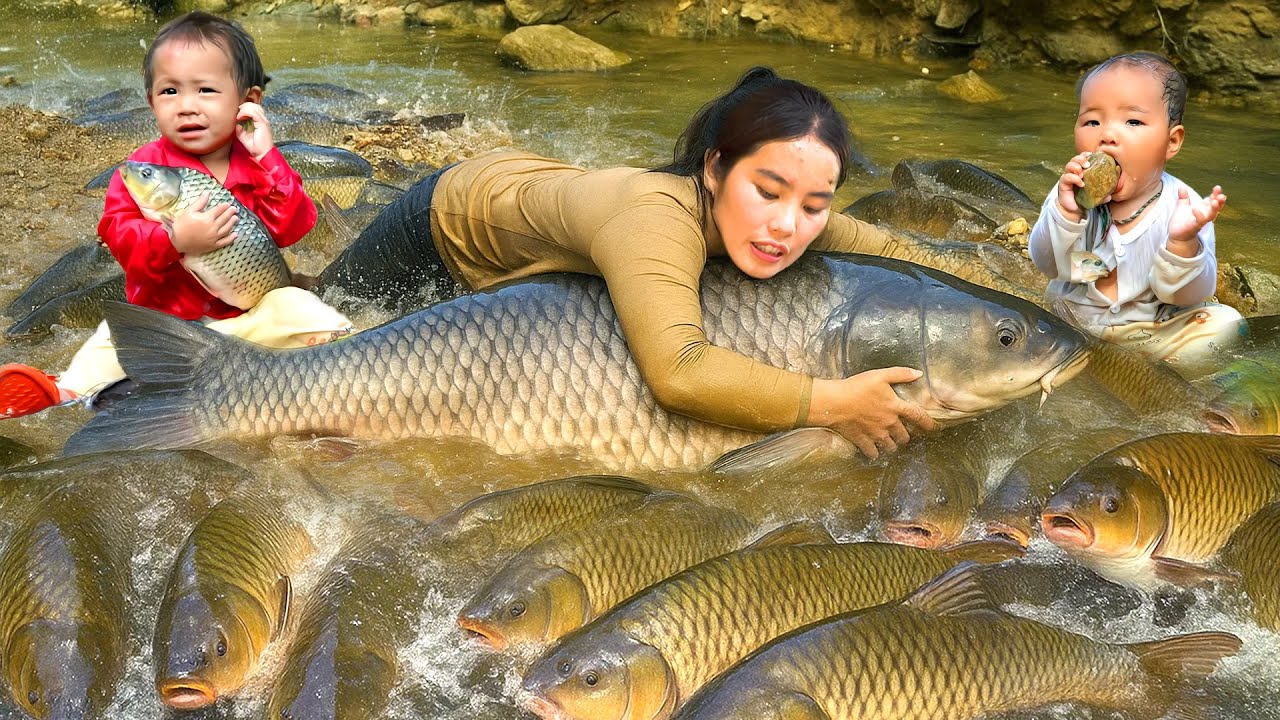 Encounter a huge school of fish - Catch fish & trap fish on a rainy day - Make smoked fish