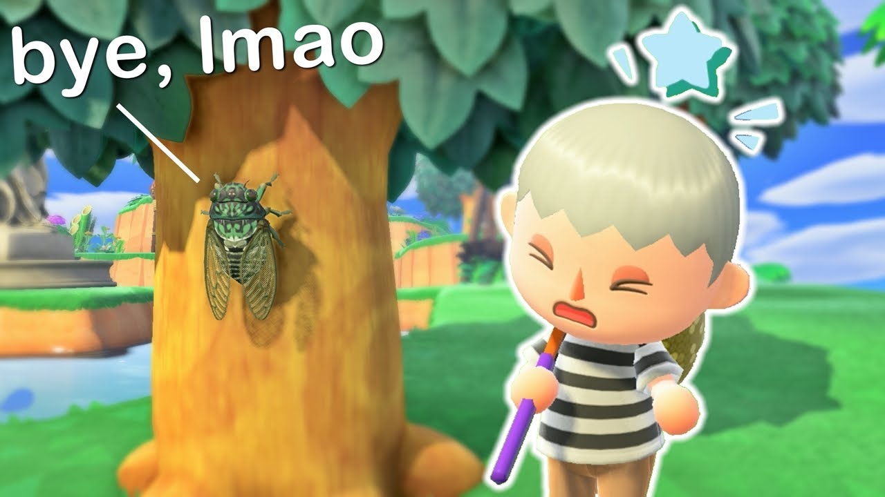 Catching Every Bug, But If I Scare One Away I Restart!