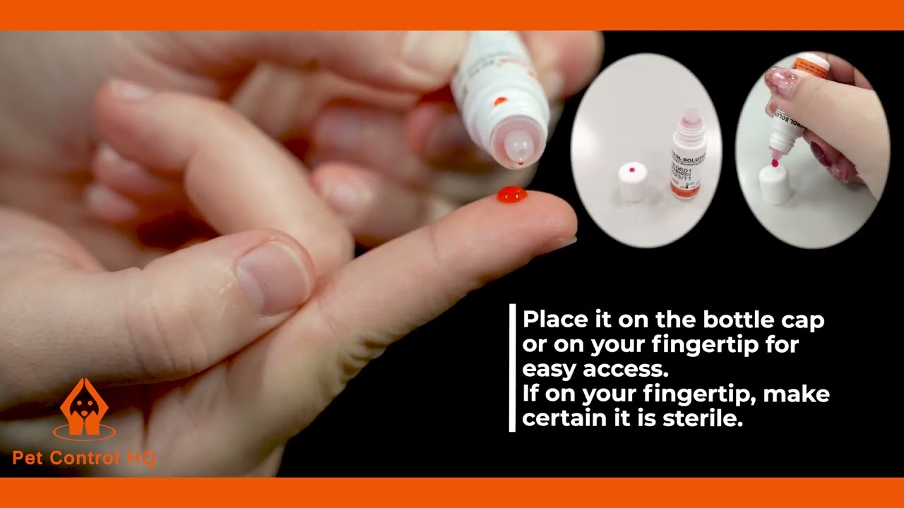 How to Perform a Control Solution Test with Your Pet Control HQ Blood Glucose Monitor | Version 2024