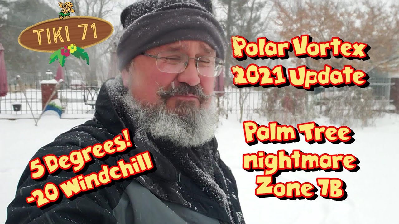5 Degrees and Palm Trees! 🌴 A Snowy Polar Vortex Update from Zone 7B Western Arkansas