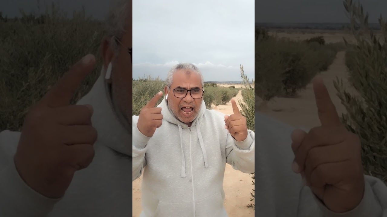 معلومات عامه عن البرودة والتغذية في الزيتون في هذا الوقت