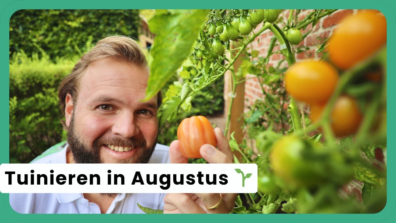 Tuinieren Augustus, de Oogstmaand! 🌽🍅