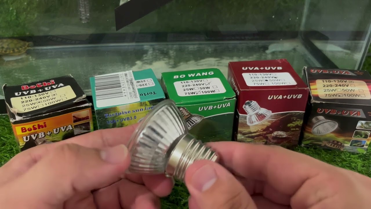Lâmpadas Uva Uvb 3.0 para répteis