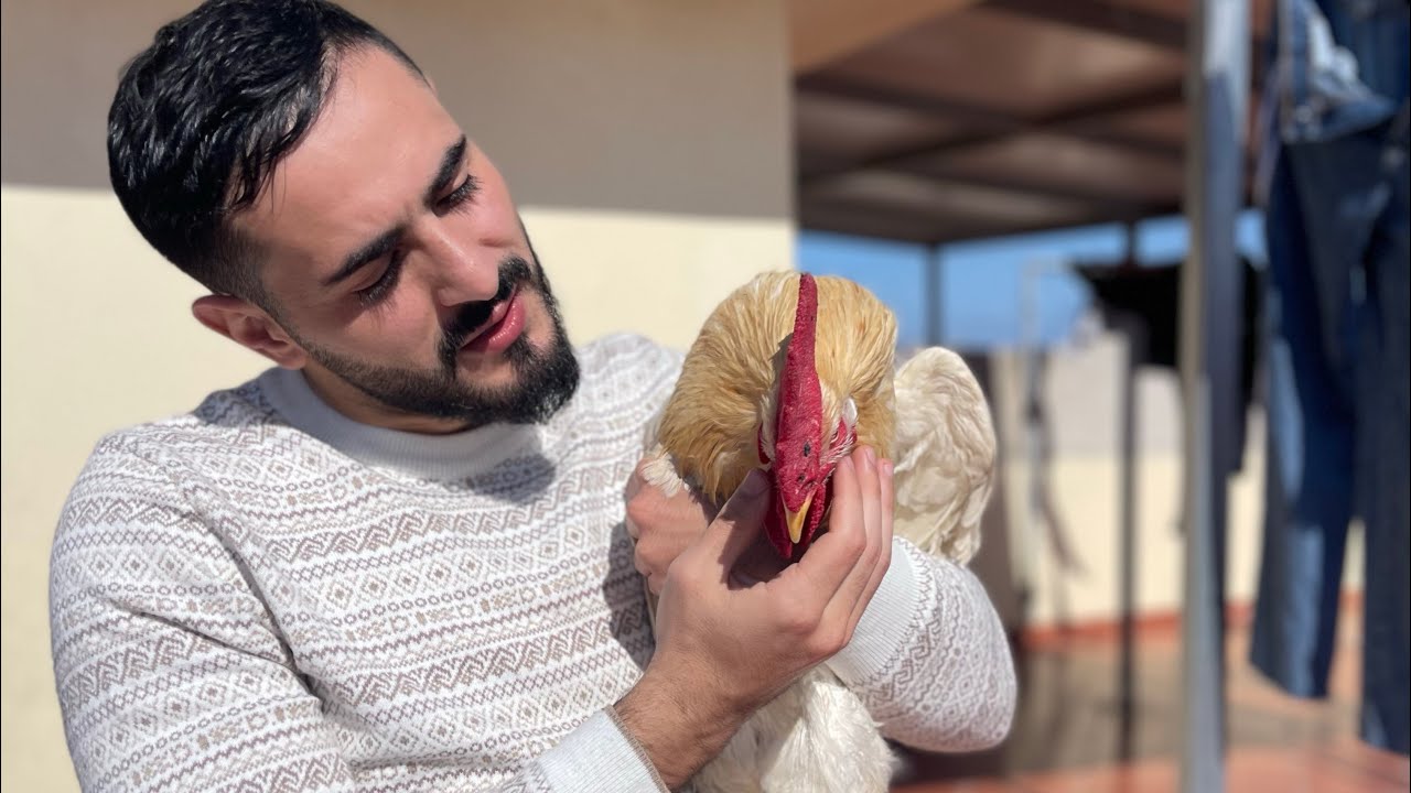 فريكاااح كان غايموت😭🐥