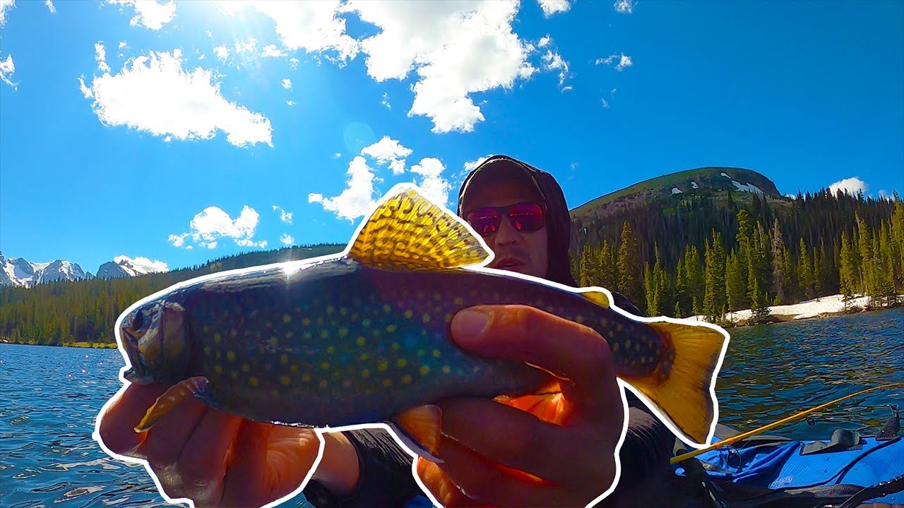 Fishing For Trophy Sized Brook Trout in Colorado's Indian Peaks Wilderness!