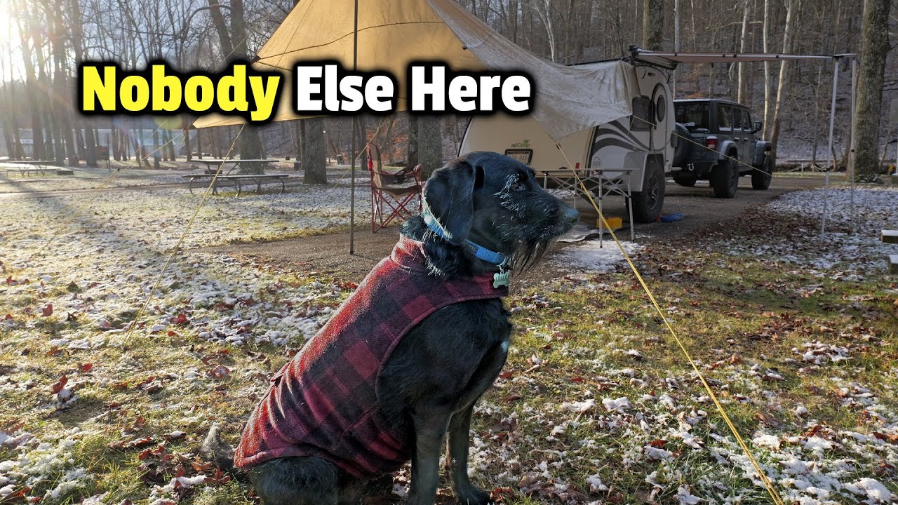 Cold, Rainy Winter Camping Alone with My Dog | Nobody Else Here