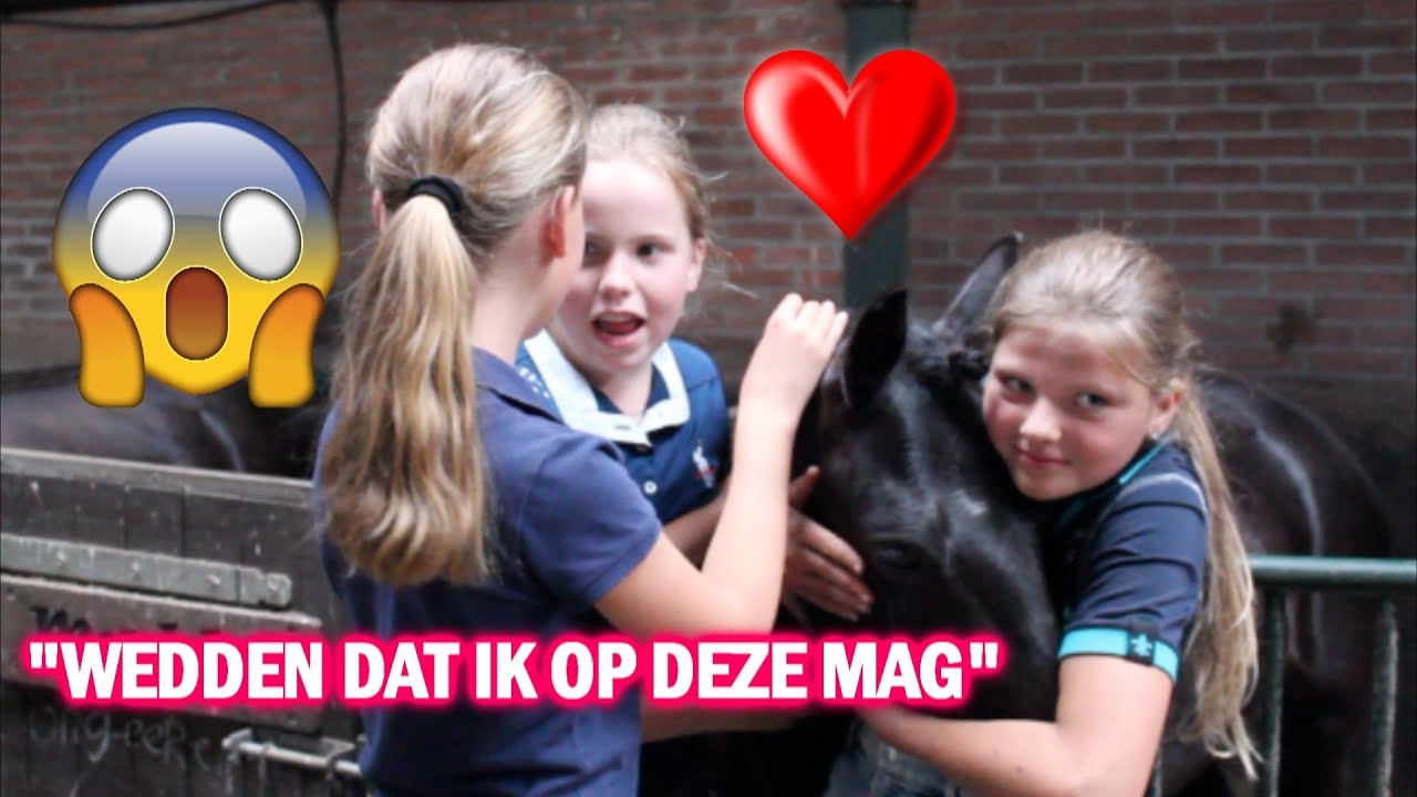 7 TYPE manege pony's! | Zaressa