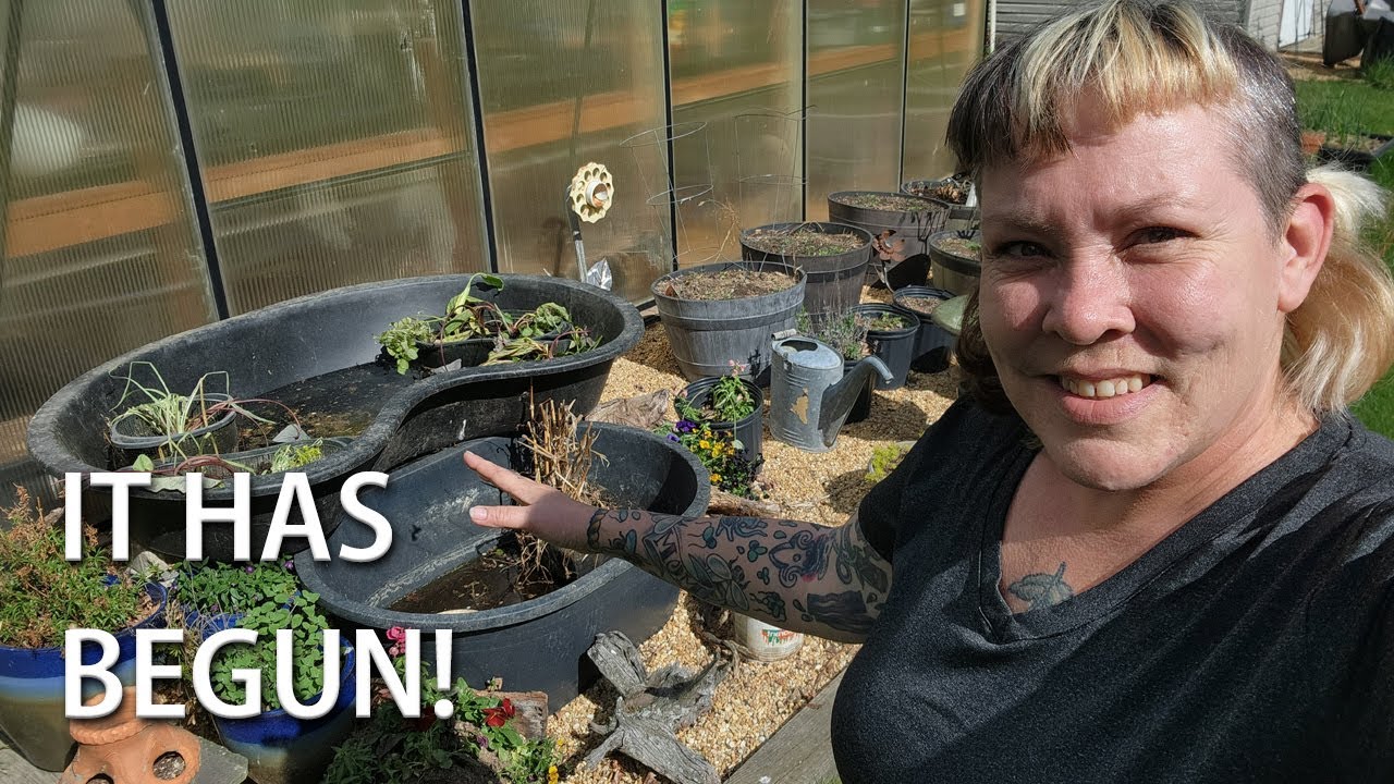 We have plants! Summer Tubbing 2025