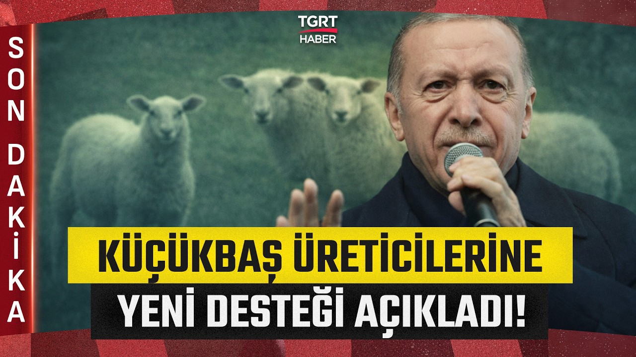 #SONDAKİKA | Cumhurbaşkanı Erdoğan'dan Üretici ve Çiftçilere Müjde: Uygun Şartlarla Verilecek!