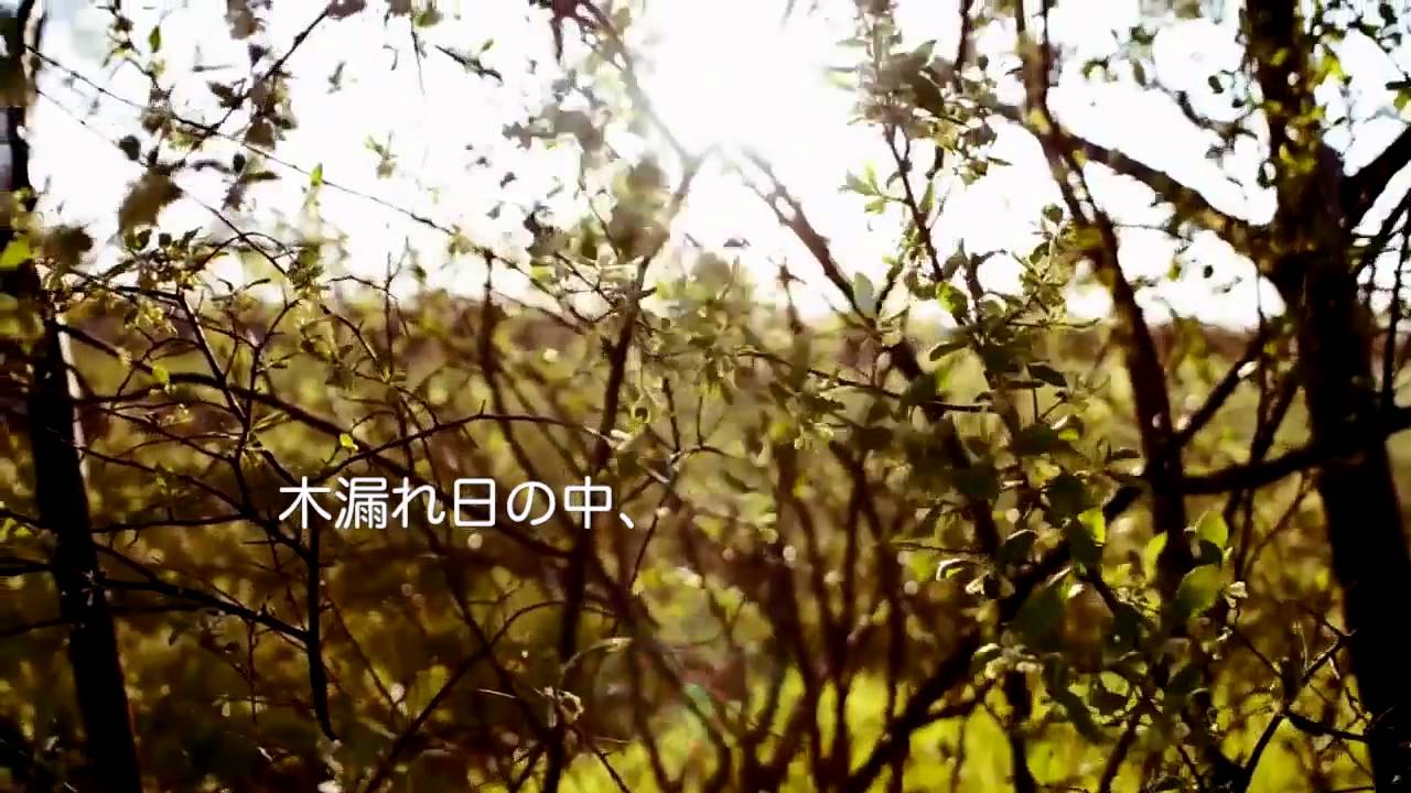 piano house二重奏「ciel」ピアノハウスNekodaruma