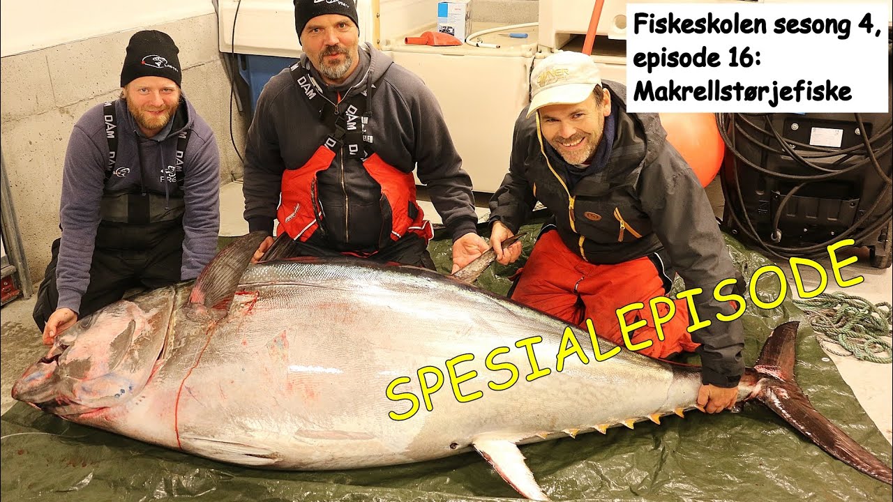 SPESIALEPISODE! Fiskeskolen sesong 4, episode 16: Makrellstørjefiske