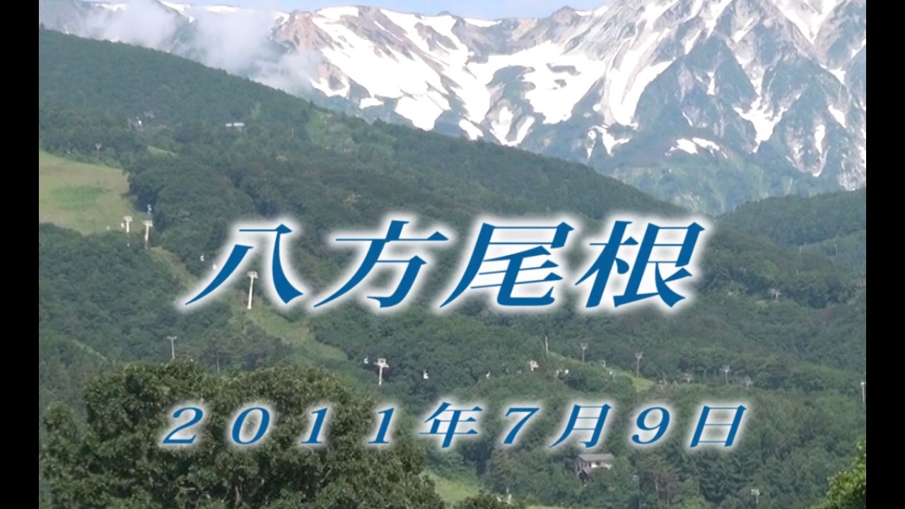 220 北アルプス八方尾根7月 2011年7月9日  - 生物多様性体験保全センター 高山植物を主とした野生植物の映像集