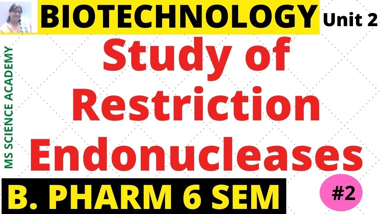 Study of Restriction Endonucleases Enzyme-Biotechnology-Unit 2- B. Pharmacy 6 Sem-Lect.2