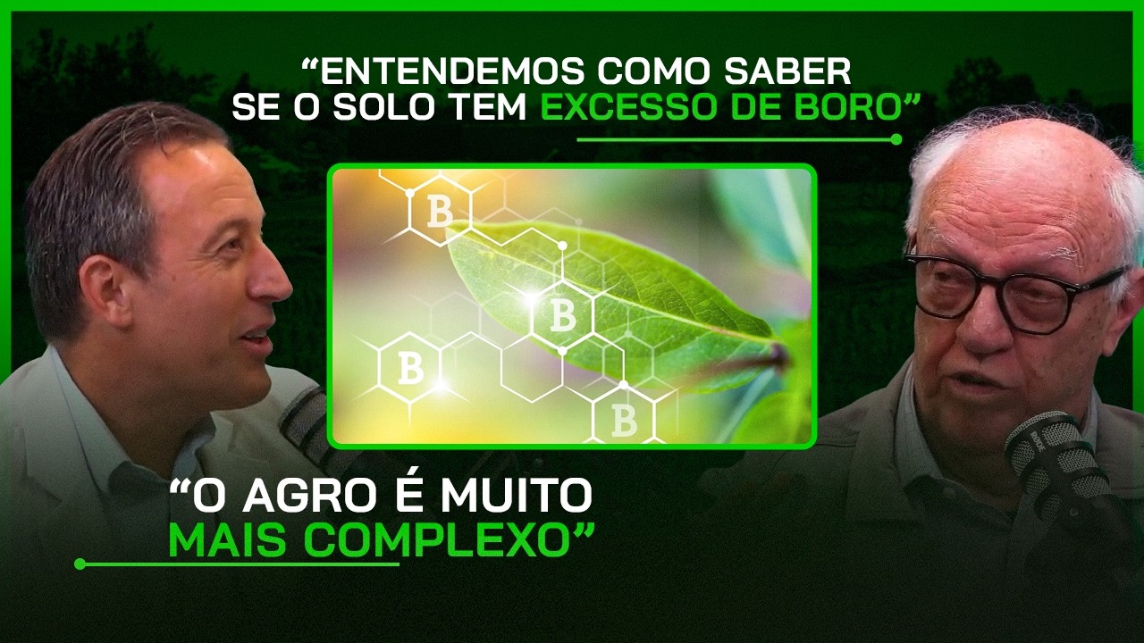 NUTRIÇÃO VEGETAL: A Relação Essencial entre CÁLCIO e BORO para Altas Produtividades