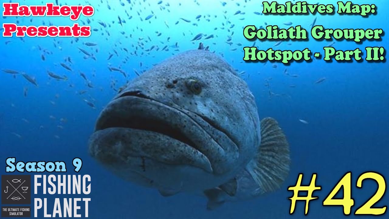 Fishing Planet S9 #42 - Maldives Map: Goliath Grouper Hotspot - Part II!