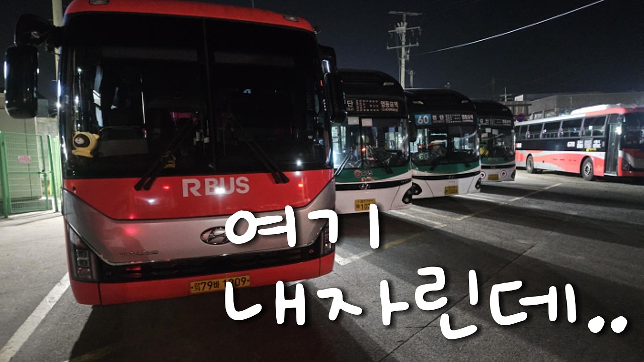 오랜만에 심야근무!!! 새벽 3시에 주차때문에 생쑈를 했네... 경기 시내버스 기사 브이로그
