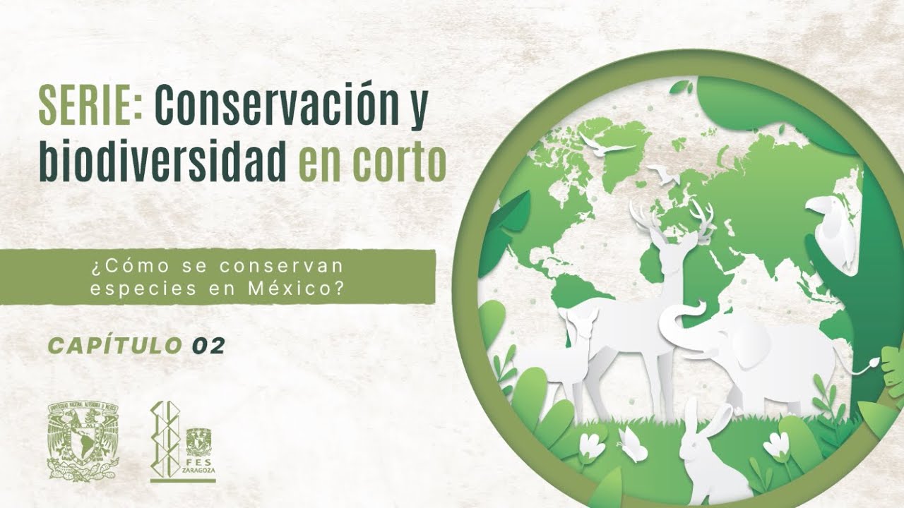 Conservaci&oacute;n y biodiversidad en corto. Cap&iacute;tulo 2: &iquest;C&oacute;mo se conservan especies en M&eacute;xico?