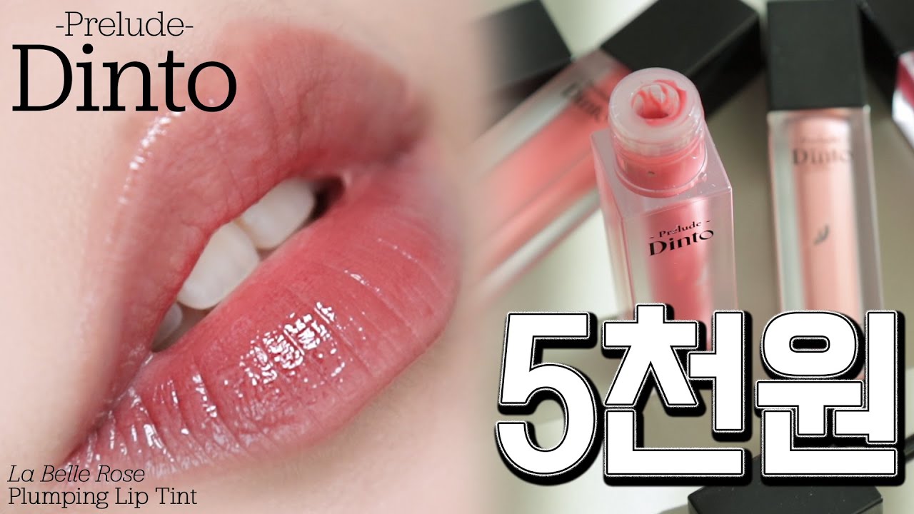 다이소 딘토💄이게 5천원?🫢세뱃돈 들고 전색상 리뷰 Go 프릴루드 딘토 라벨르 로즈 플럼핑 립 틴트