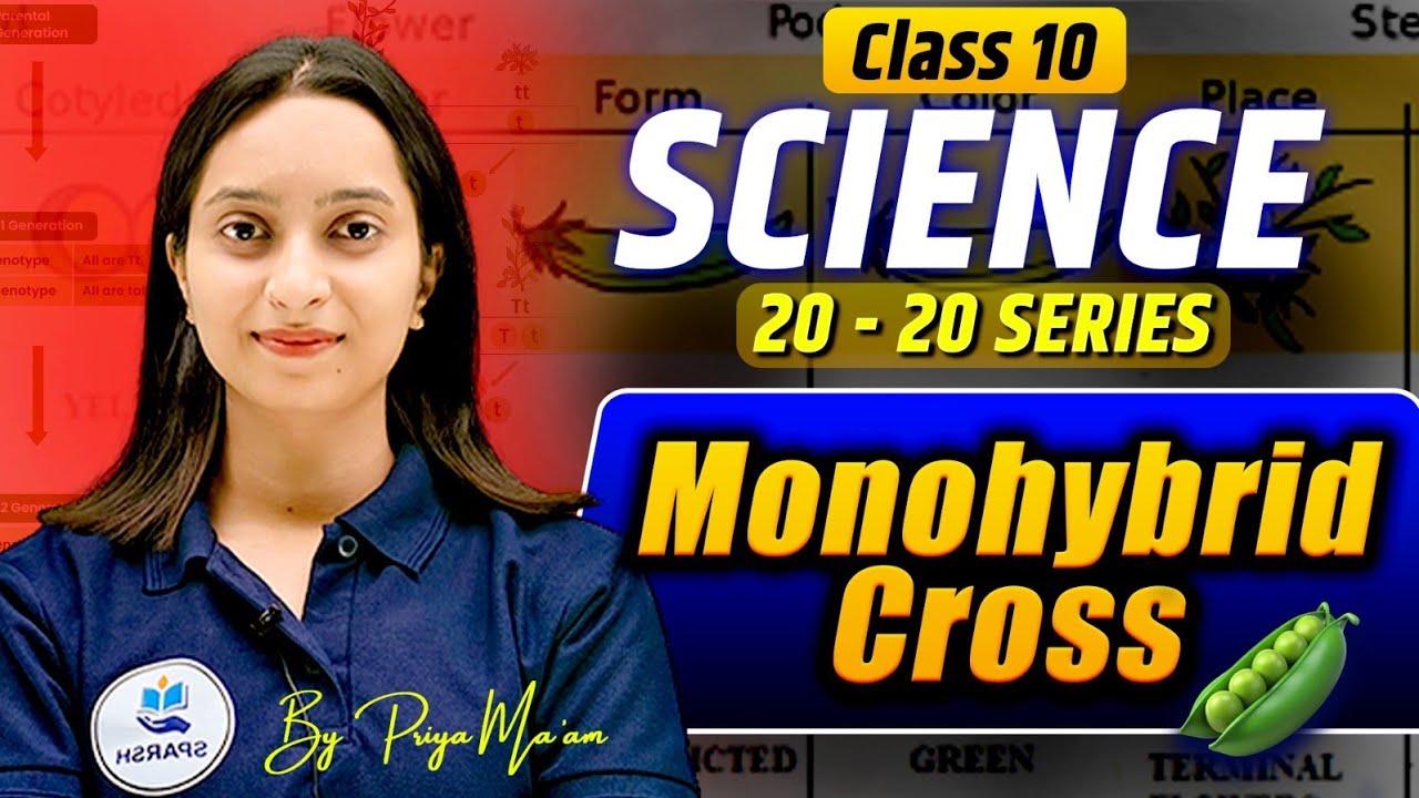 Monohybrid Cross Practice Questions | Heredity Chapter | Monohybrid Cross Quick Revision |🔥
