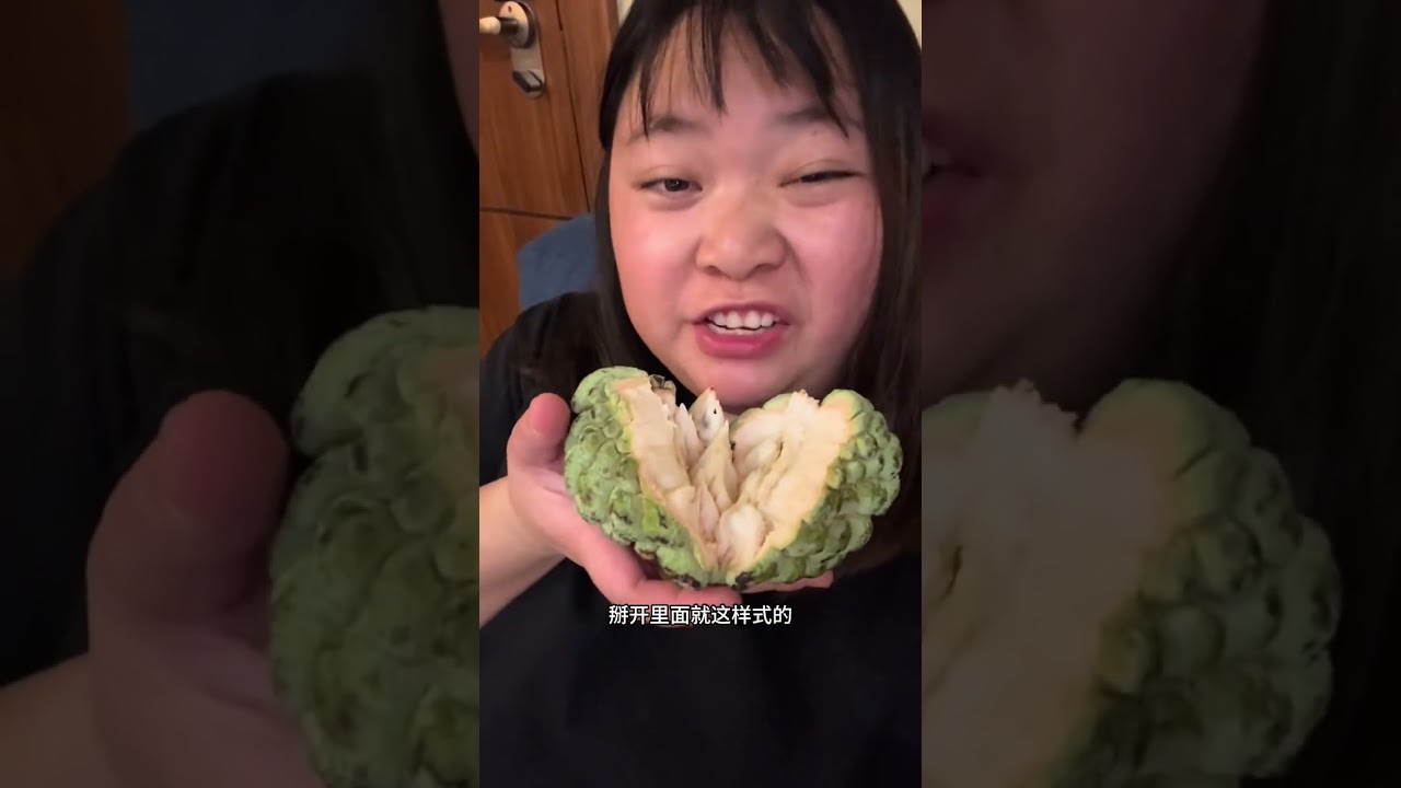 从黎巴嫩回国，被粉丝放鸽子！ #黎巴嫩 #回国 #新年快乐