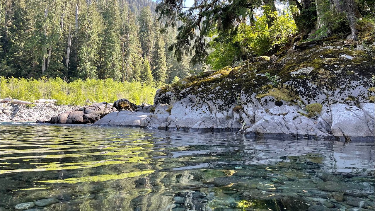 Magic & Memories on the North Fork Quinault 