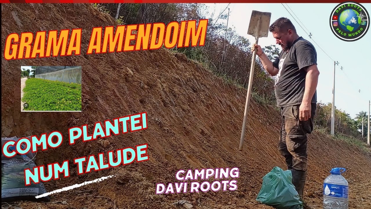 PLANTEI GRAMA AMENDOIM EM UM TALUDE NO CAMPING DAVI ROOTS.