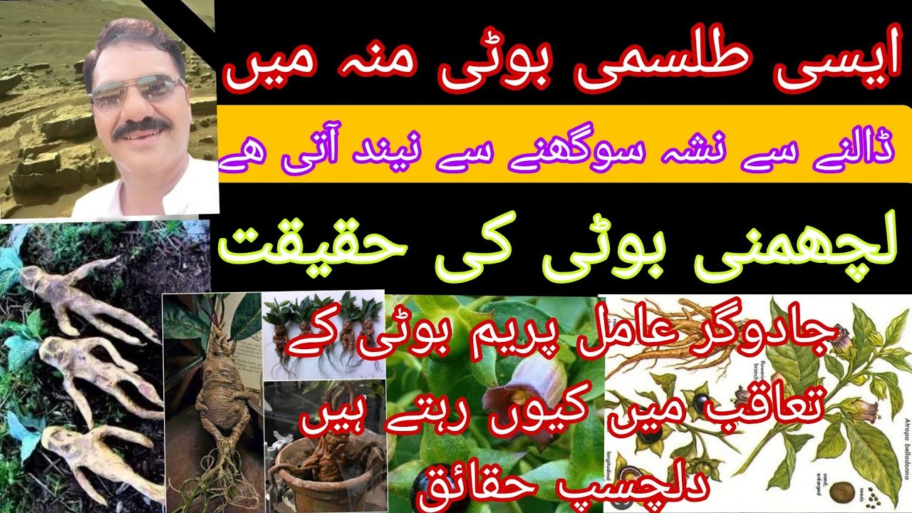 حکیموں اور جادو گر عاملوں کی ضرورت لچھنمی پریم بوٹی کی حقیقت ادویات اور جادو ٹونہ میں اس کے راز