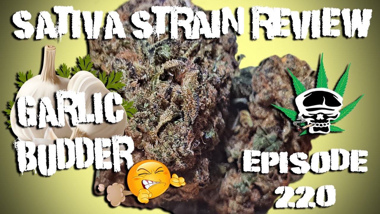 Garlic Budder-  Sativa Strain Review