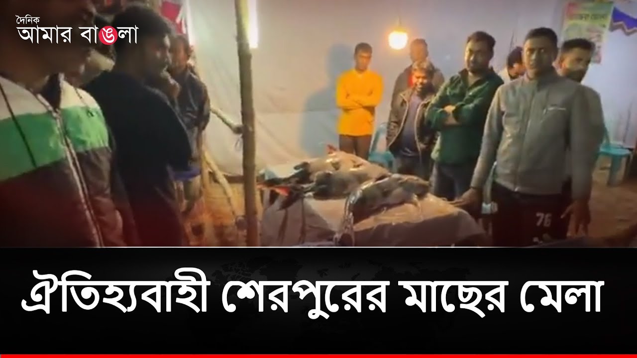 ঐতিহ্যবাহী শেরপুরের মাছের মেলা | Amar Bangla #amarbangla  #SherpurFishFair #fishfestival  #sherpur