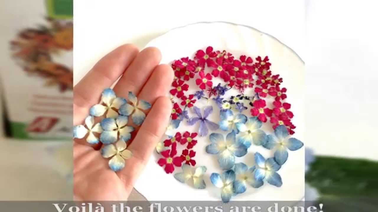 How to dry flowers with Silica Gel! ALAMOULD