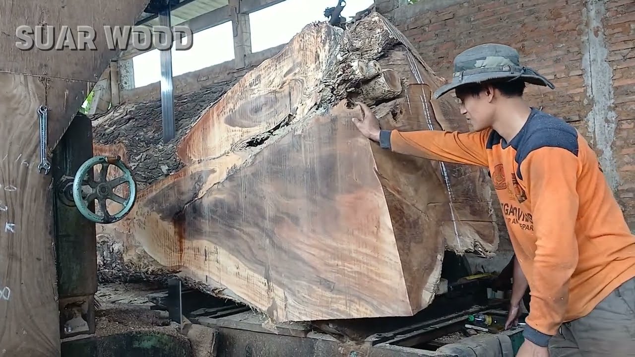 PROFESSIONAL BAND SAW CUTTING BIG WOOD ! HOW THEY MAKE WOOD SLABS