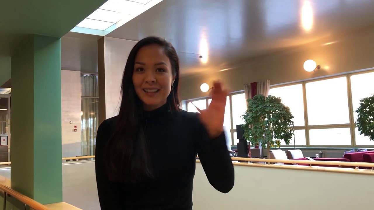Somevaikuttaja Sita Salminen
