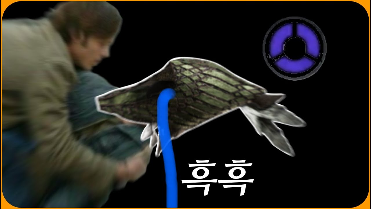 사연 있는 철눈