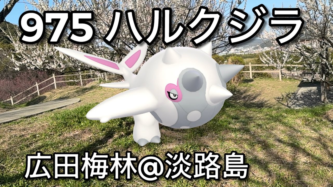 【ポケGO動くポケモンずかん】975ハルクジラ｜Cetitan【ポケモンGO】PoKeMoN GO AR｜AR動画｜GOsnapshot｜PokemonGO｜淡路島｜あわじ花へんろ第二十七番花の札所