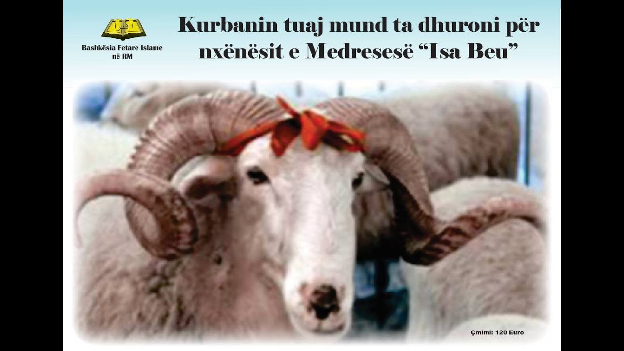 KURBANI - Sakrifica per nxenesit e Medreses Isa Beu (pjesa I)
