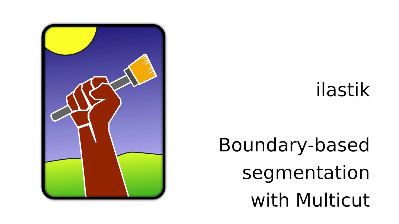 ilastik 1.3.3: Boundary-based segmentation with Multicut