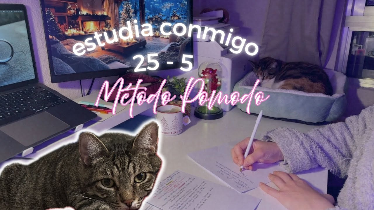 STUDY WITH ME | 25 MIN Pomodoro + Cats 🐱 | Real Study Session, Real Focus