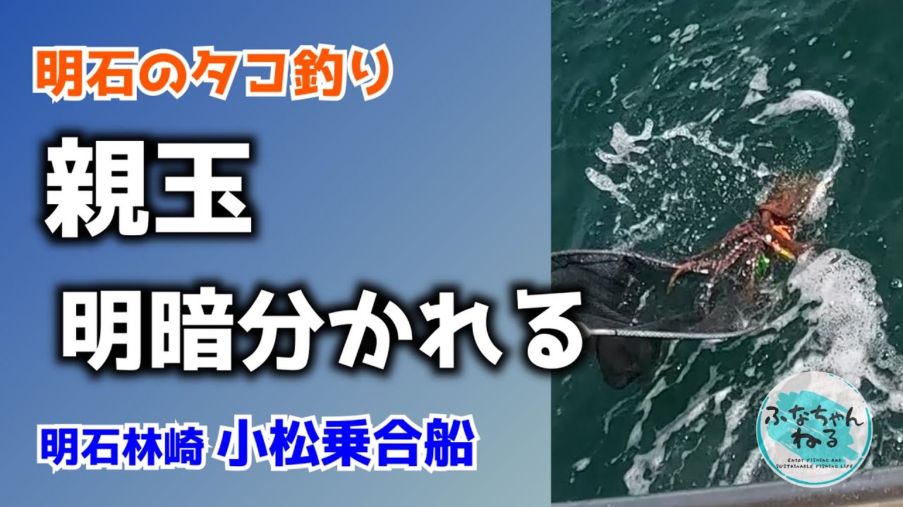 【明石タコ釣り】タコの脱走、大タコのバラシ…ツイてない釣行に涙