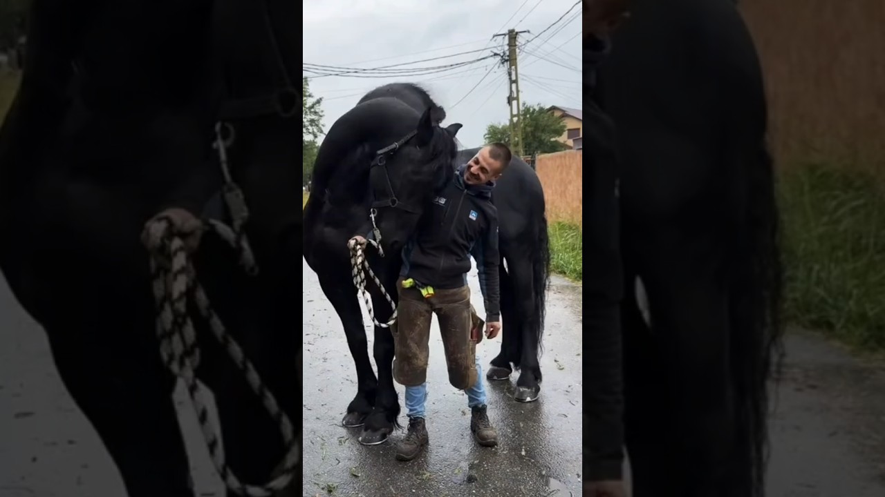 Видео верховой езды #лошадь #лошади