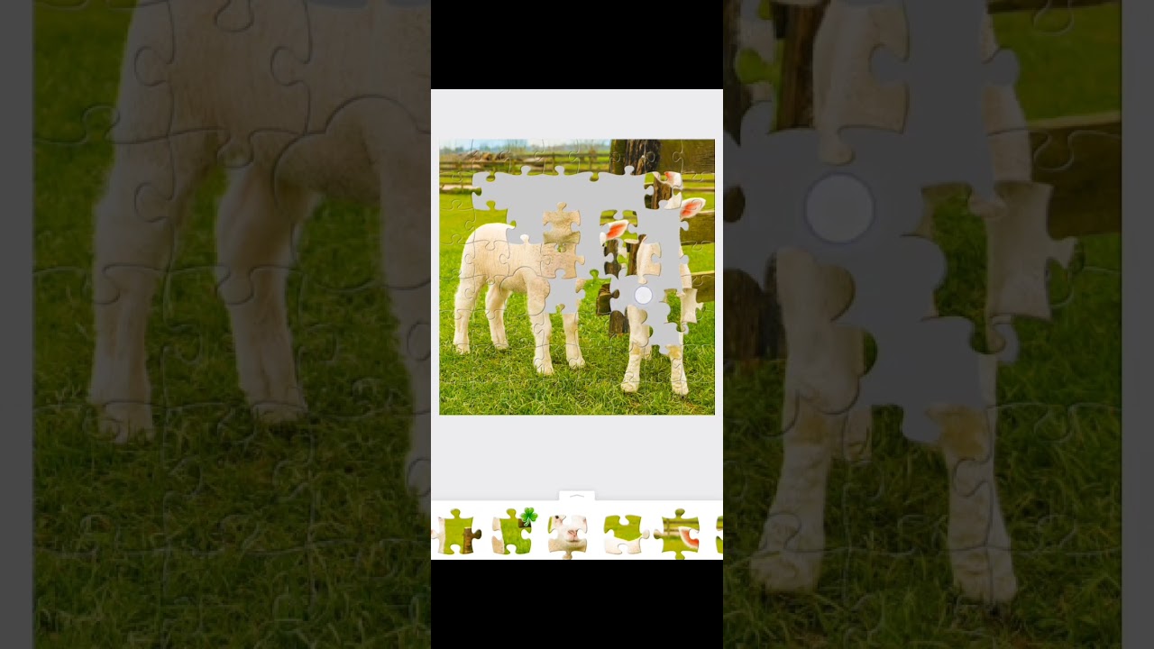 #amazing sheep 🐏🐏 puzzle
