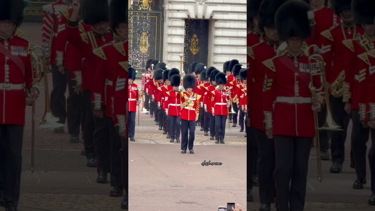 Drum Major of the Coldstream guards leading the Band of the Welsh guards #drummajor #london